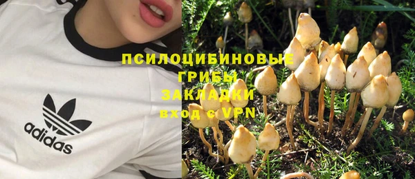СК Корсаков