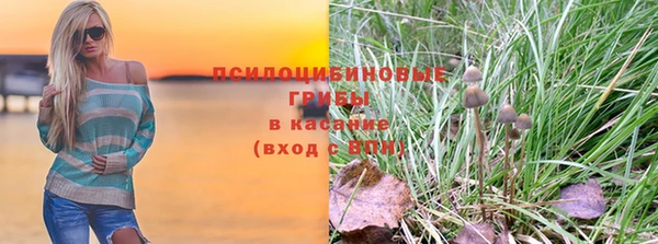 apvp Костерёво