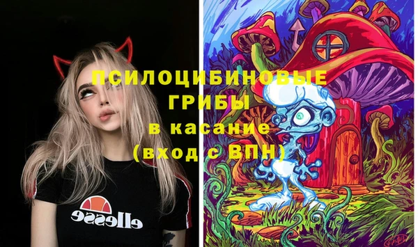 apvp Костерёво