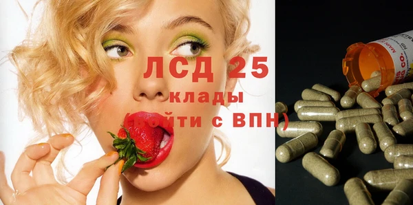 apvp Костерёво