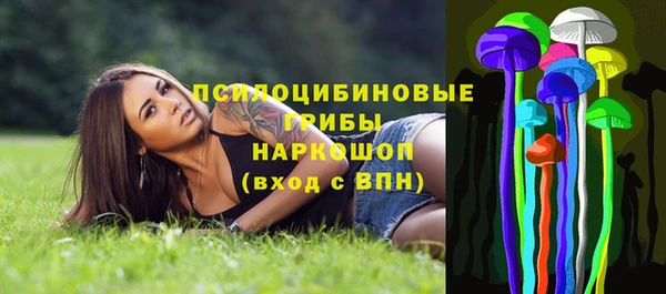 ешки Краснослободск