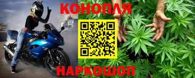 молекула духа Будённовск