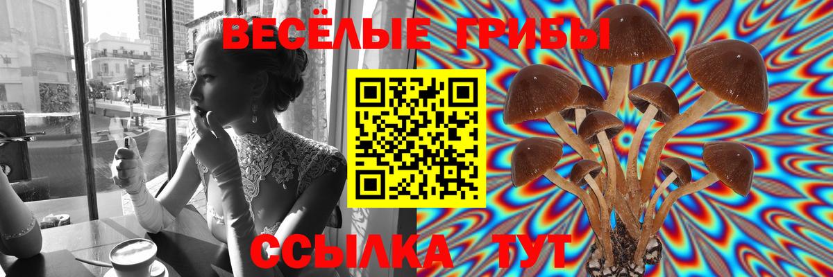 Псилоцибиновые грибы Psilocybe  Вход с VPN  Кропоткин 